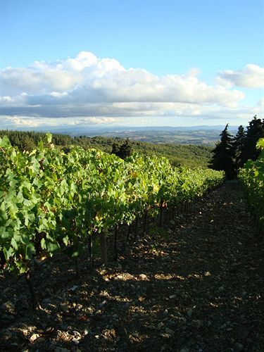 Agriturismo Il Villino Fonterutoli Luaran gambar